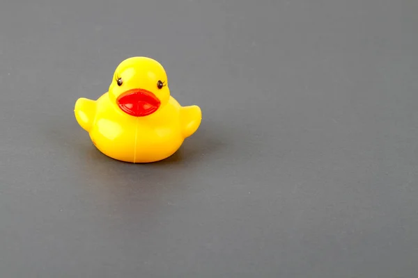rubber yellow duck toy