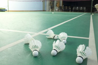Badminton yeşil kortunda eğitim için mekiklerin horozları