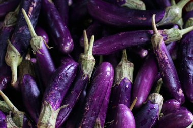 Piyasada taze laleler