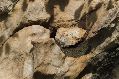 tam kare görüntü, kayalık uçurumun dokusu 