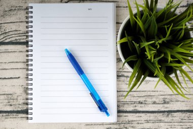 açılan ders kitabı günlüğü sayfası ve saksıda kalem ve bitki ile işyeri tablosu 