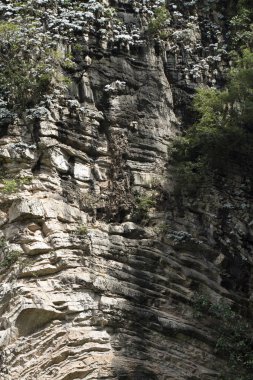 tam kare görüntü, kayalık uçurumun dokusu 