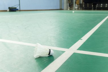 Badminton Green kortunda antrenman için bir top.