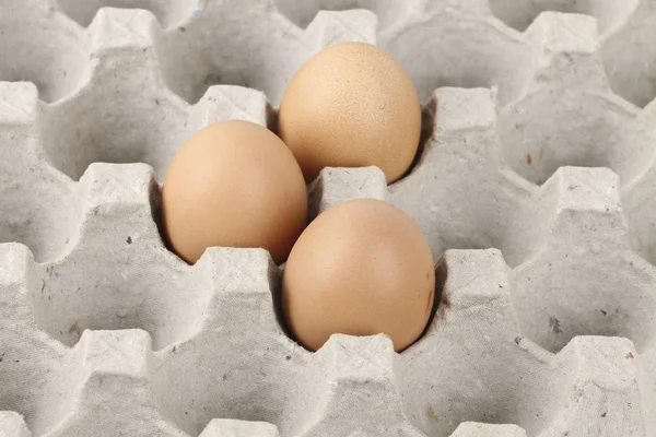 beige brown eggs in carton box