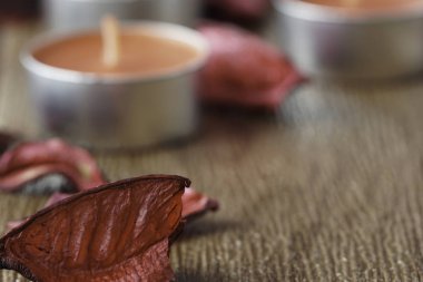 küçük yuvarlak mum, Tealight Mum ve kuru yaprakları, yaprakları 