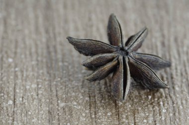 Ahşap masa yüzeyi arka plan üzerinde Anason yıldız