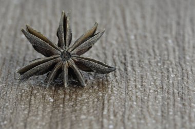 Ahşap masa yüzeyi arka plan üzerinde Anason yıldız