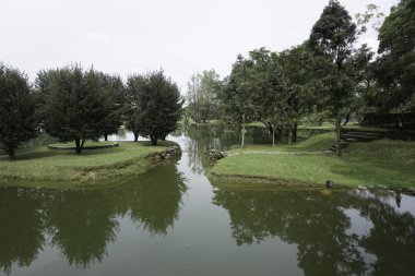gölet, göl suyu ile parkta güzel yeşil ağaçlar 