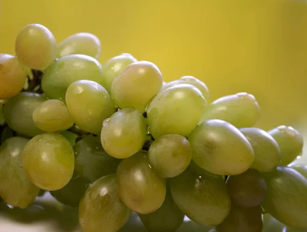 Grappe Raisins Verts Dans Une Assiette Blanche Sur Fond Jaune — Photo