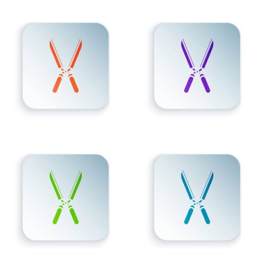 Renk bahçe el yapımı makas simge beyaz arka planda izole için kırpma. Ahşap kolları ile budama makasları. Renkli kare düğmeleri simgeleri ayarlayın. Vektör Illustration