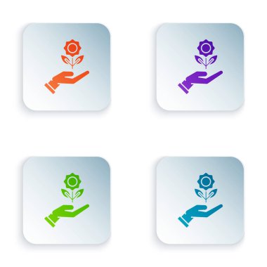 Renk el tutan çiçek simgesi beyaz arka planda izole. Tohum ve fide. Fidan dikmek. Ekoloji konsepti. Renkli kare düğmeleri simgeleri ayarlayın. Vektör Illustration