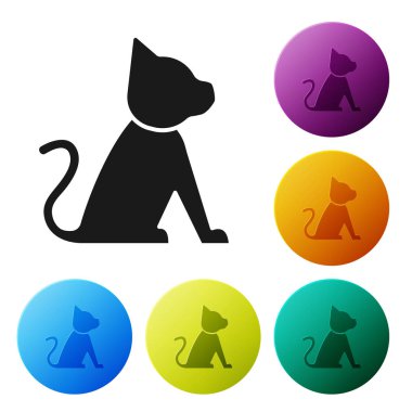 Siyah kedi simgesi beyaz arka planda yalıtılmış. Simgeler renkli daire düğmelerini ayarlayın. Vektör Illustration