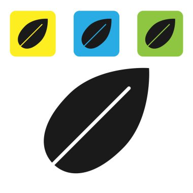 Beyaz arka planda yalıtılmış Siyah Yaprak simgesi. Taze doğal ürün sembolü. Simgeleri renkli kare düğmeleri ayarlayın. Vektör İllüstrasyonu