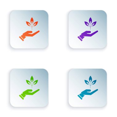Beyaz arka planda izole çevre koruma simgesi elinde renk tesisi. Tohum ve fide. Fidan dikmek. Ekoloji konsepti. Renkli kare düğmeleri simgeleri ayarlayın. Vektör Illustration