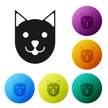Siyah kedi simgesi beyaz arka planda yalıtılmış. Simgeler renkli daire düğmelerini ayarlayın. Vektör Illustration