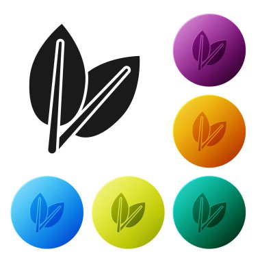 Beyaz arka planda izole siyah Leafs simgesi. Taze doğal ürün sembolü. Simgeler renkli daire düğmelerini ayarlayın. Vektör Illustration