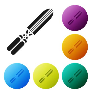 Siyah bahçe beyaz arka planda izole simgesi kırpma için el yapımı makas. Ahşap kolları ile budama makasları. Simgeler renkli daire düğmelerini ayarlayın. Vektör Illustration