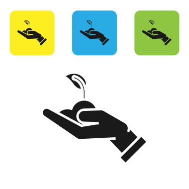 Siyah Sprout elinde çevre koruma simgesi beyaz arka planda izole. Tohum ve fide. Fidan dikmek. Ekoloji konsepti. Set simgeleri renkli kare düğmeler. Vektör Illustration