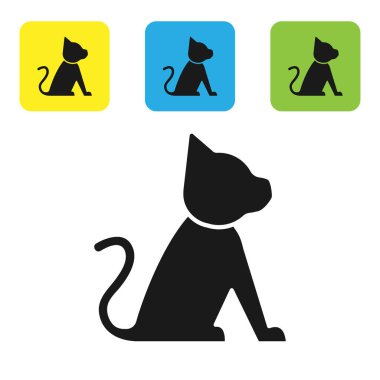 Siyah kedi simgesi beyaz arka planda yalıtılmış. Set simgeleri renkli kare düğmeler. Vektör Illustration