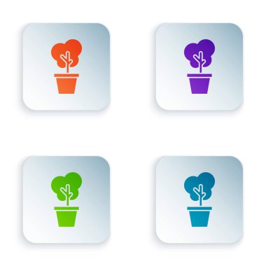 Beyaz arka planda izole pot simgesinde renk ağacı. Tencere içinde houseplant. Ev ve iç mekan için doğal dekor. Potted bitki işareti. Renkli kare düğmeleri simgeleri ayarlayın. Vektör Illustration