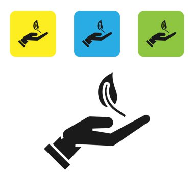 Siyah Sprout elinde çevre koruma simgesi beyaz arka planda izole. Tohum ve fide. Fidan dikmek. Ekoloji konsepti. Set simgeleri renkli kare düğmeler. Vektör Illustration