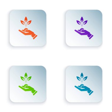 Beyaz arka planda izole çevre koruma simgesi elinde renk tesisi. Tohum ve fide. Fidan dikmek. Ekoloji konsepti. Renkli kare düğmeleri simgeleri ayarlayın. Vektör Illustration