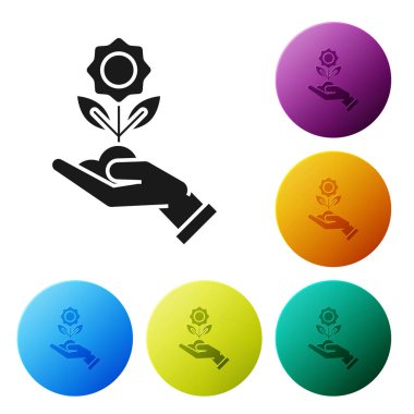 Beyaz arka planda izole siyah el tutan çiçek simgesi. Tohum ve fide. Fidan dikmek. Ekoloji konsepti. Simgeler renkli daire düğmelerini ayarlayın. Vektör Illustration