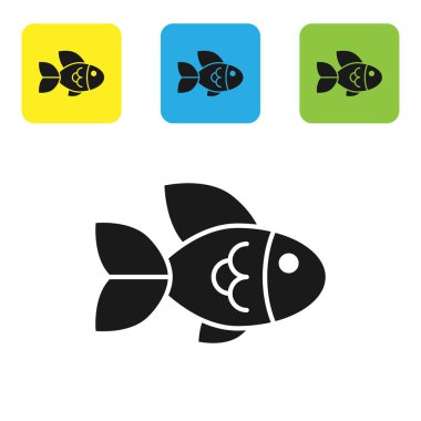 Siyah balık simgesi beyaz arka planda izole. Set simgeleri renkli kare düğmeler. Vektör Illustration