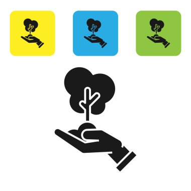 Siyah ağaç elinde çevre koruma simgesi beyaz arka planda izole. Tohum ve fide. Fidan dikmek. Ekoloji konsepti. Set simgeleri renkli kare düğmeler. Vektör Illustration