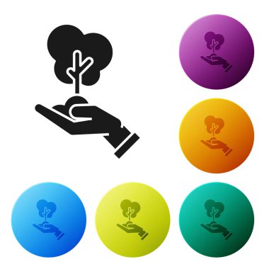 Siyah ağaç elinde çevre koruma simgesi beyaz arka planda izole. Tohum ve fide. Fidan dikmek. Ekoloji konsepti. Simgeler renkli daire düğmelerini ayarlayın. Vektör Illustration