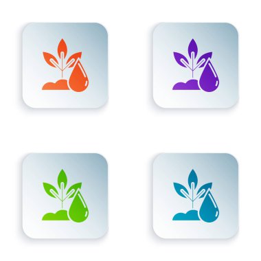 Beyaz arka planda izole renk sulama tesisi simgesi. Tohum ve fide. Sulama sembolü. Yaprak doğası. Renkli kare düğmeleri simgeleri ayarlayın. Vektör Illustration