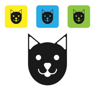 Siyah kedi simgesi beyaz arka planda yalıtılmış. Set simgeleri renkli kare düğmeler. Vektör Illustration