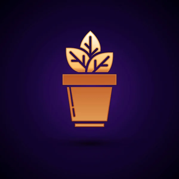 Złote kwiaty w puli ikona izolowane na ciemnym niebieskim tle. Uprawa roślin w garnku. Znak rośliny doniczkowa. Ilustracja wektorowa — Wektor stockowy