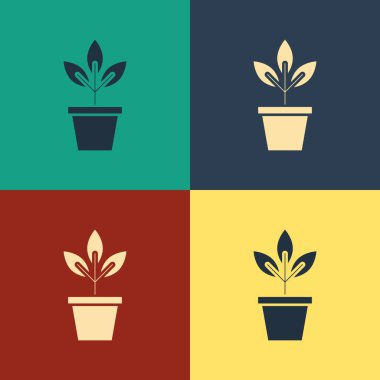 Renk arka planda yalıtılmış pot simgesindeki Renk Çiçekleri. Bir tencerede yetişen bitki. Saksı bitki işareti. Vintage tarzı çizim. Vektör İllüstrasyonu