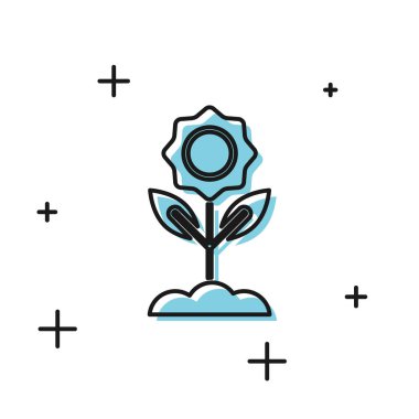 Siyah Çiçek simgesi beyaz arka planda yalıtılmış. Vektör İllüstrasyonu