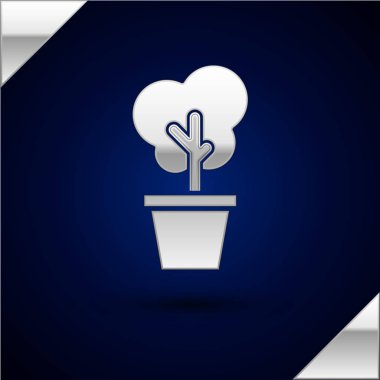 Koyu mavi arka plan üzerinde izole pot simgesi Gümüş Ağaç. Tencerede ev bitkisi. Ev ve iç mekan için doğal dekor. Saksı bitki işareti. Vektör İllüstrasyonu