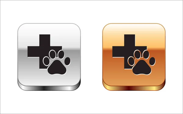 Zwarte veterinaire kliniek symbool pictogram geïsoleerd op witte achtergrond. Kruis ziekenhuis teken. Een gestileerde Paw Print hond of kat. Huisdier eerste hulp teken. Zilver-gouden vierkante knop. Vector illustratie — Stockvector