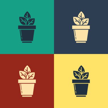 Renk arka planda yalıtılmış pot simgesindeki Renk Çiçekleri. Bir tencerede yetişen bitki. Saksı bitki işareti. Vintage tarzı çizim. Vektör İllüstrasyonu