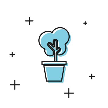 Beyaz arka planda yalıtılmış saksı simgesindeki Siyah Ağaç. Tencerede ev bitkisi. Ev ve iç mekan için doğal dekor. Saksı bitki işareti. Vektör İllüstrasyonu