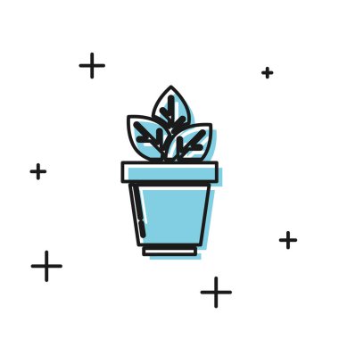 Beyaz arka planda izole edilmiş saksı simgesindeki Siyah Çiçekler. Bir tencerede yetişen bitki. Saksı bitki işareti. Vektör İllüstrasyonu