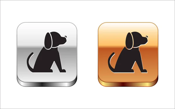 Zwarte hond pictogram geïsoleerd op witte achtergrond. Zilver-gouden vierkante knop. Vector illustratie — Stockvector