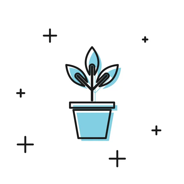 Svarta blommor i Pot-ikonen isolerad på vit bakgrund. Växten växer i en kastrull. Kruk växt skylt. Vektor illustration — Stock vektor