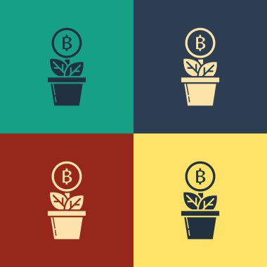 Renk arka planda izole pot simgesirenk Bitcoin bitki. İş yatırımı büyümesi. Blockchain teknolojisi, kripto para madenciliği. Vintage tarzı çizim. Vektör İllüstrasyonu