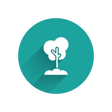 Uzun gölge ile izole zemin simgesibeyaz ağaç. Orman sembolü. Yeşil daire düğmesi. Vektör İllüstrasyonu