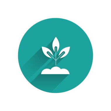 Beyaz Bitki simgesi uzun gölgeli izole edilmiş. Tohum ve tohum. İşaret bırakıyor. Yaprak doğası. Yeşil daire düğmesi. Vektör İllüstrasyonu