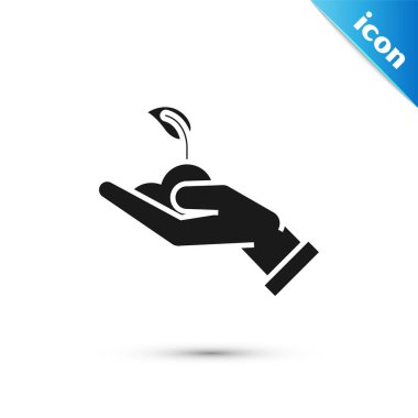 Beyaz arka plan üzerinde izole çevre koruma simgesi elinde Siyah Filiz. Tohum ve fide. Fidan dikimi. Ekoloji kavramı. Vektör İllüstrasyonu