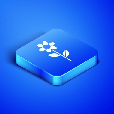 Mavi arka planda izole edilmiş İzometrik Çiçek simgesi. Mavi kare düğmesi. Vektör İllüstrasyonu