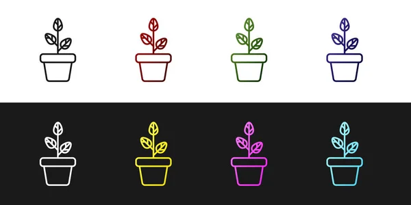 Ορισμός λουλουδιών σε pot εικονίδιο απομονωθεί σε μαύρο και άσπρο φόντο. Φυτό που φυτρώνει σε κατσαρόλα. Πινακίδα φυτού. Απεικόνιση διανυσματικών φορέων — Διανυσματικό Αρχείο