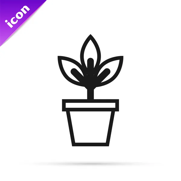 Linha preta Flores no ícone do pote isolado no fundo branco. Planta crescendo em um pote. Planta em vaso. Ilustração vetorial — Vetor de Stock