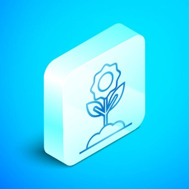 İzometrik çizgi Mavi arka planda yalıtılmış çiçek simgesi. Gümüş kare düğme. Vektör İllüstrasyonu